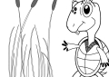 Trashed Turtle
